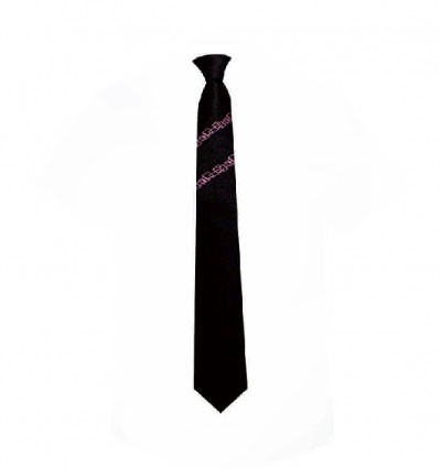 BT015 supply Korean suit and tie pure color collar and tie HK Center side view
